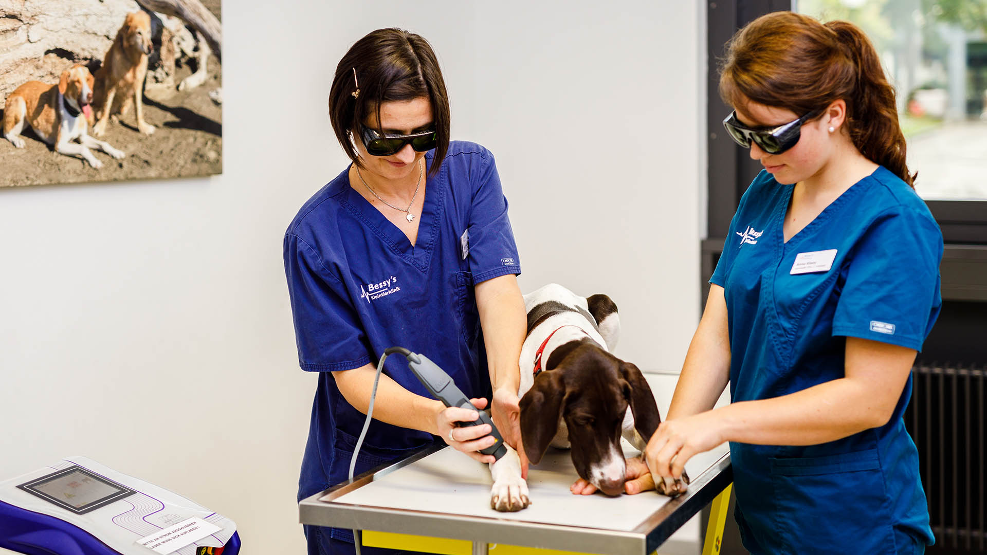 Bessy�s Schmerztherapie und Anästhesie Bessys