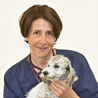 Dr. Monique Wenger - Dr. med. vet., Dipl. ACVIM, Dipl. ECVIM-CA