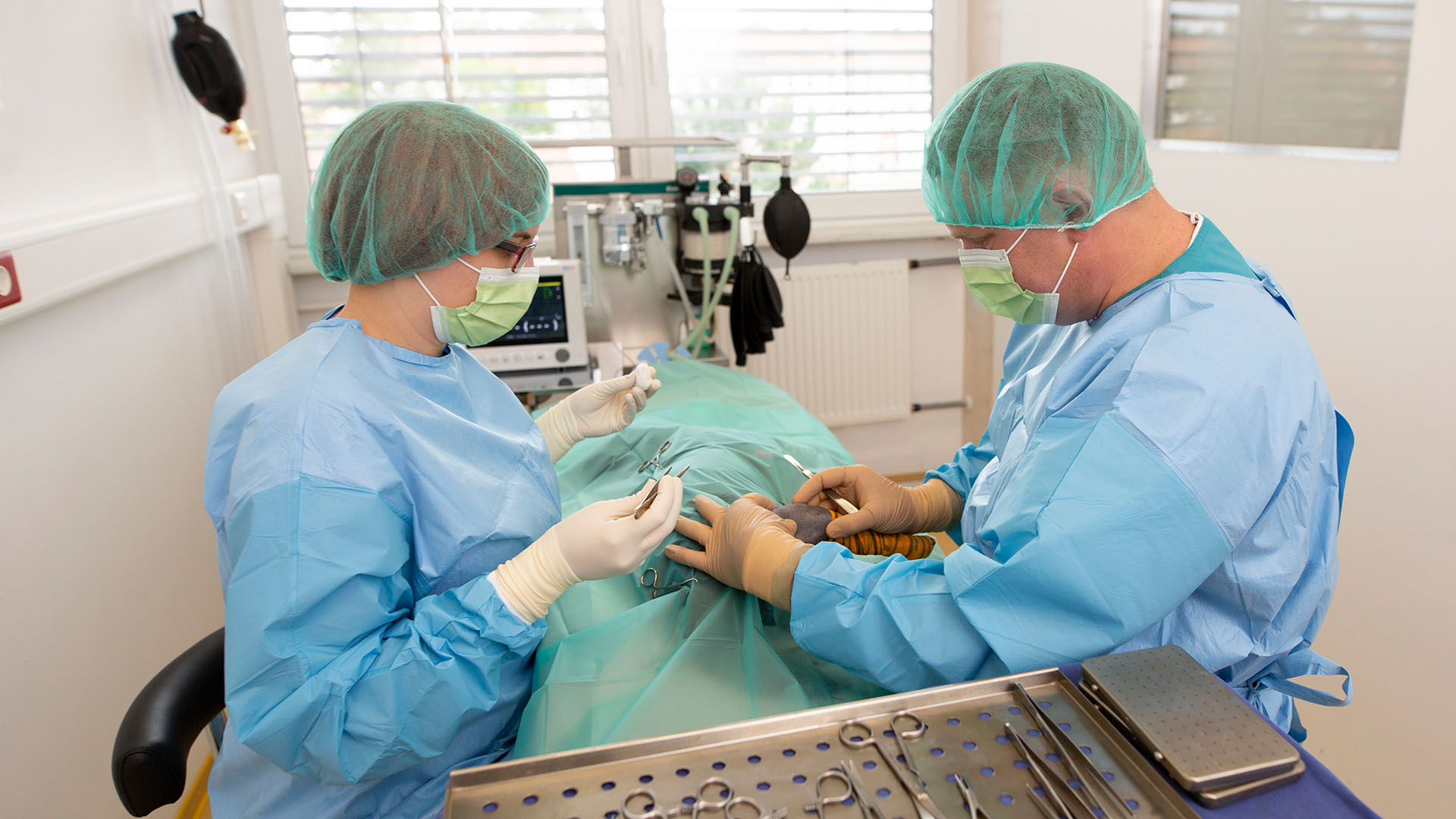 Chirurgie in der Tierklinik am Nordring Tierklinik Nuernberg