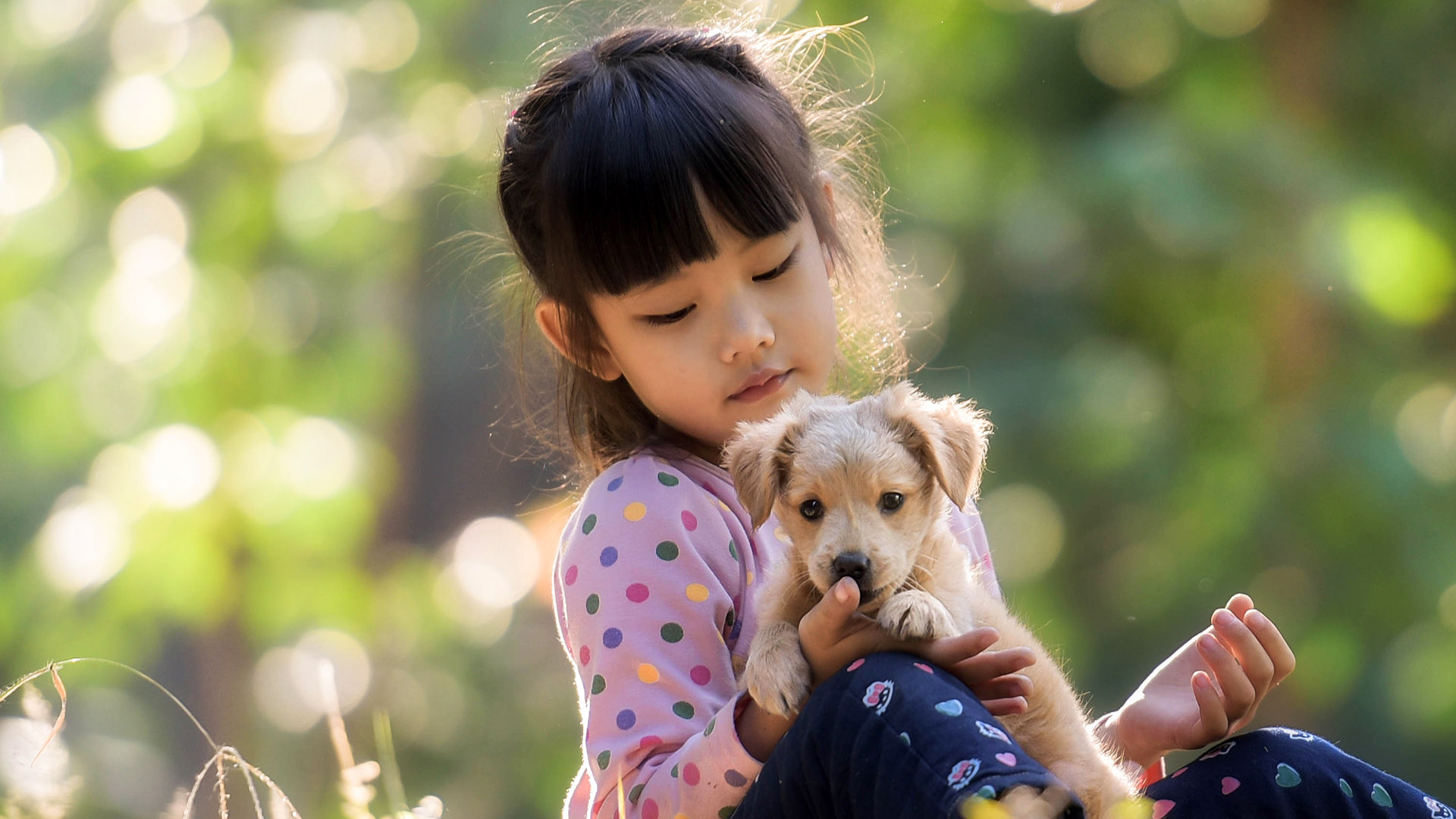 Hunde und Kinder Tierklinik Nuernberg